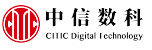 中信数字科技集团有限公司